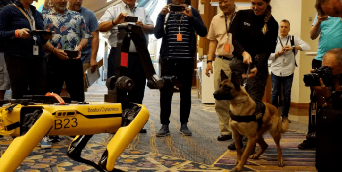 Робопсы Boston Dynamics на прогулке роботы, технологии, собаки