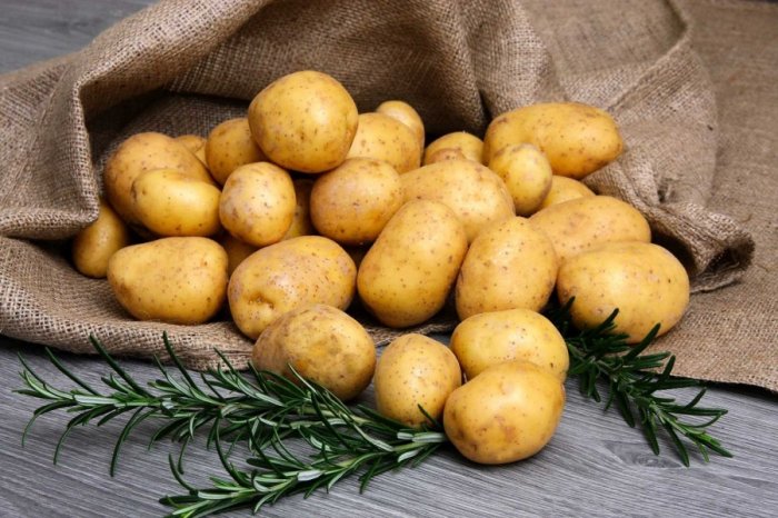 Диетолог рассказал, кому нельзя есть картофель