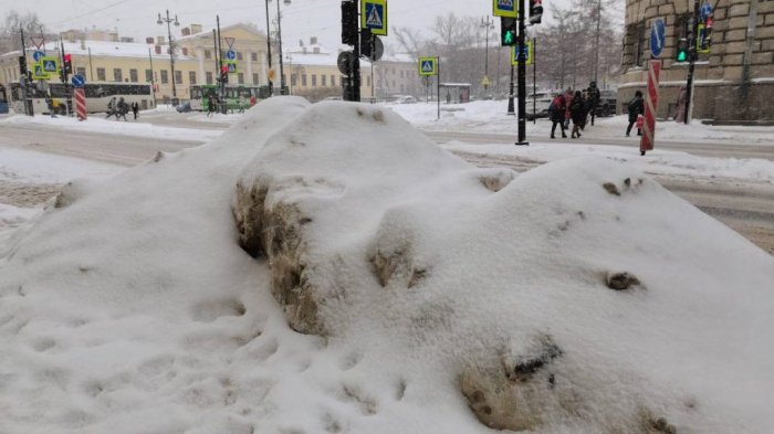 Власти Петербурга не могут справиться со снегом