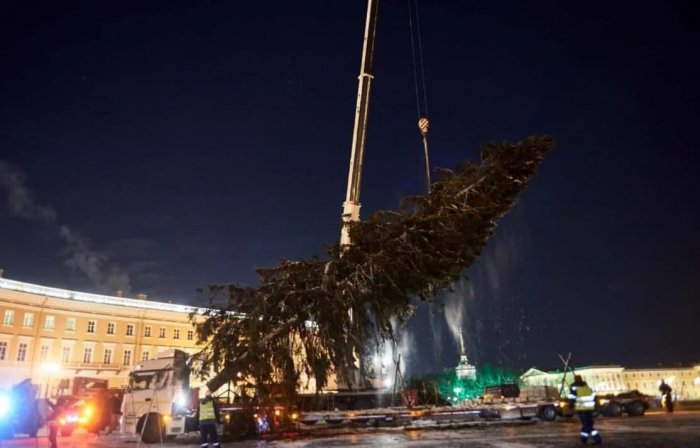 На Дворцовой площади установили главную новогоднюю елку Петербурга