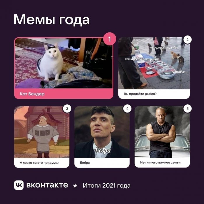 Кот Бендер стал главным мемом 2021