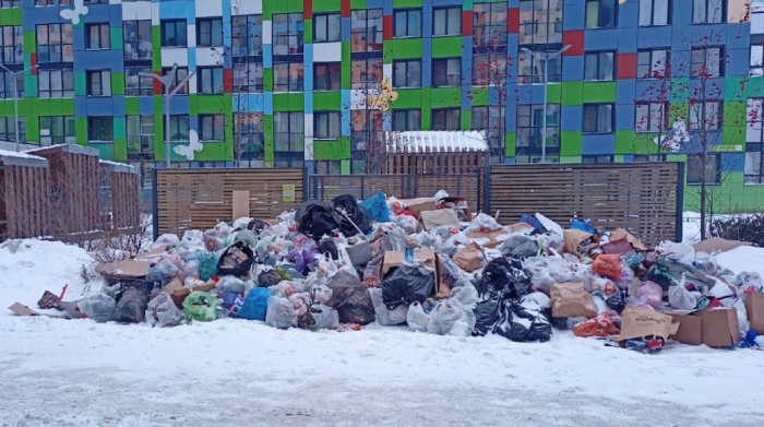 Эколог Шевчук: Александр Беглов исказил понятие мусорной реформы