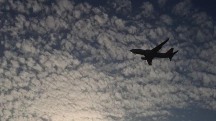 Шестеро петербуржцев пропустили проблемный рейс из Египта на родину
