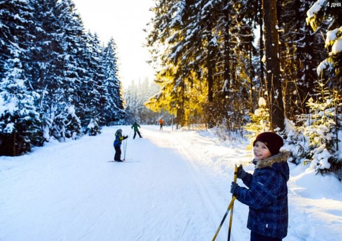В Ленобласти назвали самые популярные лыжные маршруты по экотропам