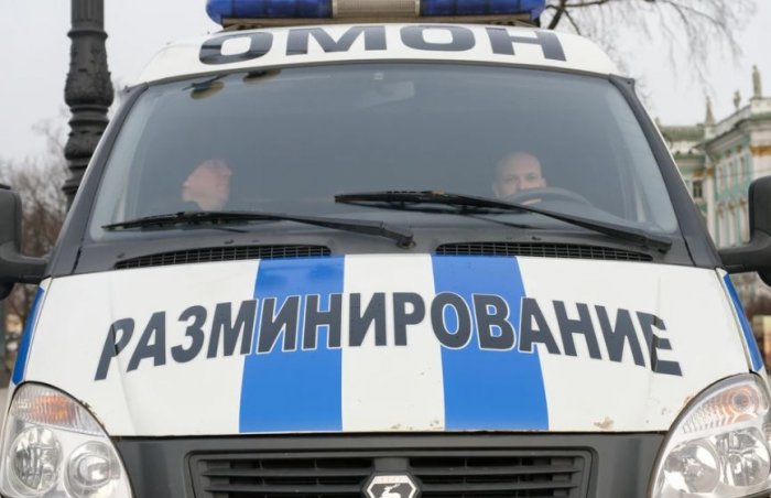 Более 5,5 тысяч школьников эвакуировали в Петербурге из-за любительницы выпить