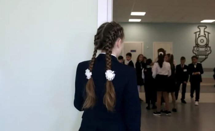Бдительная учительница из Петербурга не дала незнакомцу похитить девочку из школы