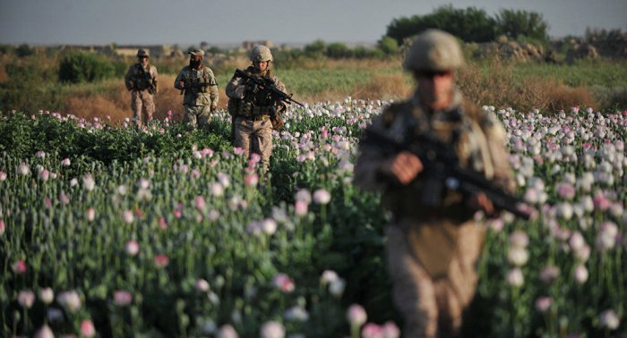 Идеальна для опиума: в США оценили афганский потенциал Украины