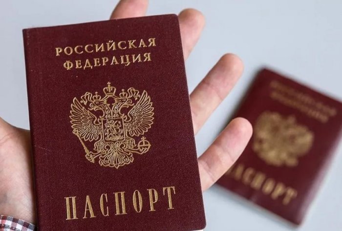 В Петербурге лишили российского гражданства уроженцев Закавказья, совершивших преступление