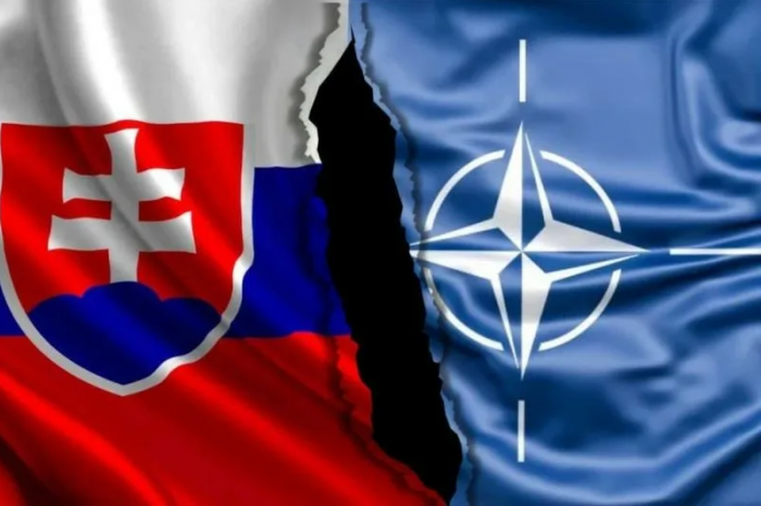 «Общество европейских идиотов»: в Словакии обсуждают выход из НАТО