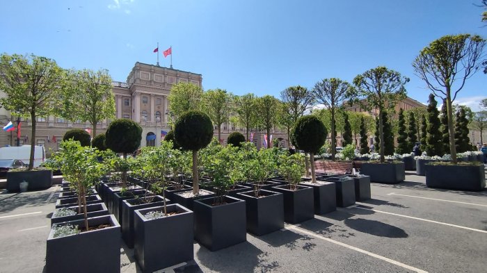 Радость для депутатов: сад за 63 млн рублей вновь появится в Питере